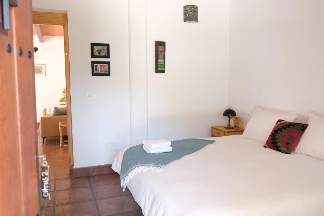 The Wild Olive Andalucia Citrus Suite Casares Εξωτερικό φωτογραφία
