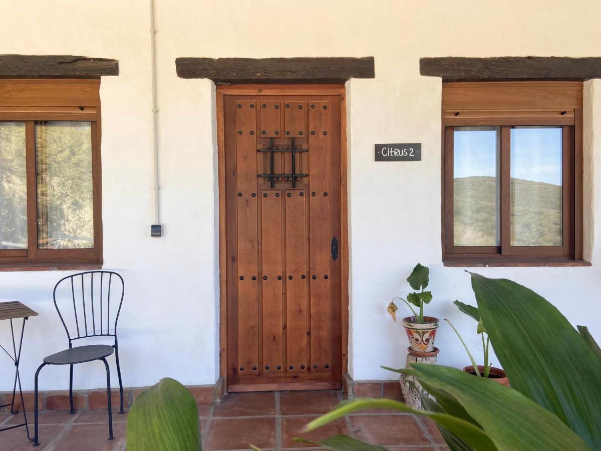 The Wild Olive Andalucia Citrus Suite Casares Εξωτερικό φωτογραφία